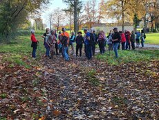 Rando à Pierre-de-Bresse, 6 novembre 2025